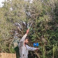 Avishay Avidor的照片