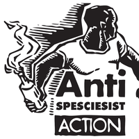 Mariana  Pera's Photo