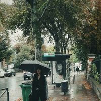 Valerian sm的照片