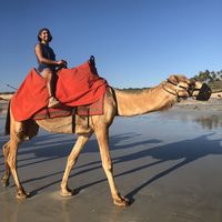 Carlos Rojas's Photo