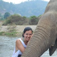 Carolina Trimiño's Photo