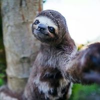 Fotos de Matyáš Thér