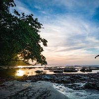 Nirvana Camargo的照片