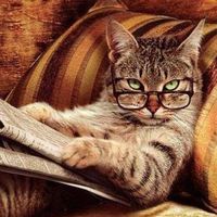 Sandrine Fzncx的照片