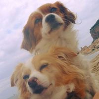 Caterina Li Rosi的照片