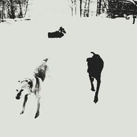 Фотографии пользователя Althea Mamaril