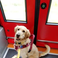 Clara  Reinhold's Photo