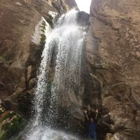 Reza Mohammadian的照片