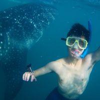 Photos de Matthew Ng