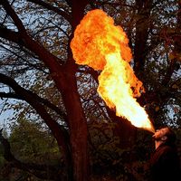 Сергей Гаврилов's Photo