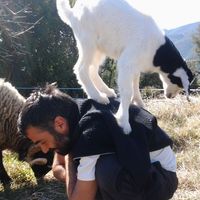 Richard Molina's Photo