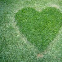 Agustina Anguita's Photo