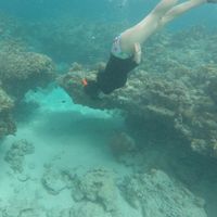 Fotos de Minori Koga