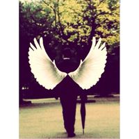 Fábio Pires-Moreira的照片