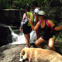 Melissa Gomes的照片