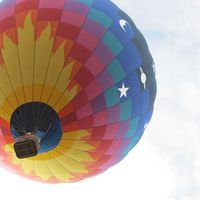 Linnea Harrold's Photo