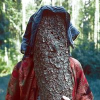 Ian Kellner的照片