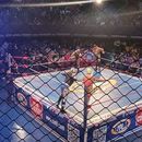 Lucha Libre's picture