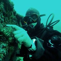 Francisco Caneo Urrutia's Photo