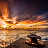 Kevin Anderson's Photo