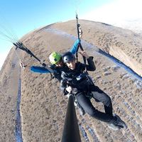 Zümrüdü Anka的照片