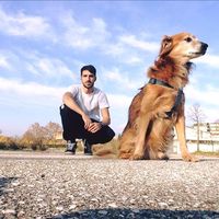 Marco Palmieri的照片