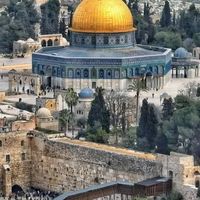 nevien  shaker's Photo