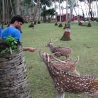 Abhinav Bhaskar's Photo