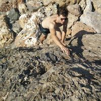 Martin Kreß's Photo