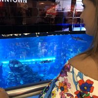 Haniyeh Yazdanpanah's Photo