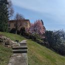 Magnolia & Villa - Tour On Lago Maggiore 's picture