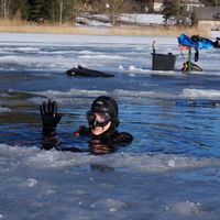 Mark Kirstaetter's Photo