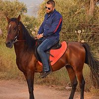 Ahmad Sherkawi's Photo