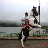 Nikhil  Diwan's Photo