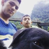 Photos de fernando madariaga