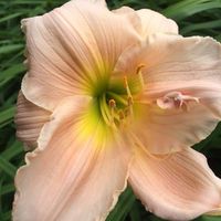 Barbara Lilly's Photo