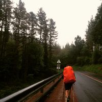 Lucas Suárez's Photo