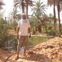 Ahmed Fillali的照片