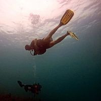 Fotos de Felipe Galindo Corté