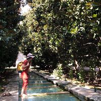 Josefin Pflugbeil's Photo