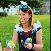 Karolina Bojarska的照片