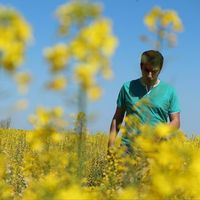 Mohammad Sarlak的照片