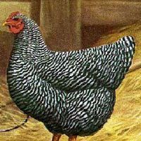 Elisa Baioni's Photo