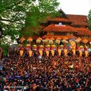 THRISSUR POORAM 2025's picture