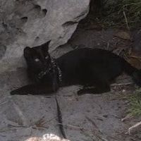 Tatiana Archila's Photo