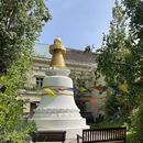 Immagine di Traditional Yoga for Peace at Buddhist Temple