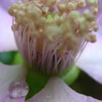 Photos de Analia Lopez