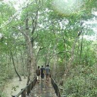 Idrak Hossain的照片