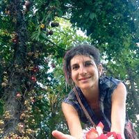 Laurie Adams's Photo