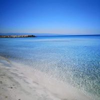 Ehab Elshorbagy's Photo